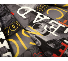 Принт MUSIC GRAFIT Принт MUSIC GRAFIT