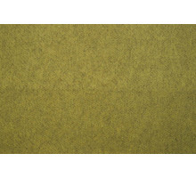 vicuna 11