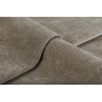 микровелюр sharli 04