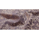 шенилл mikella s/7204, TextileData