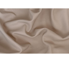 натуральная кожа x5 834