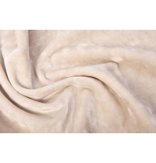 trevi 0229