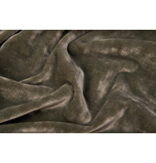 trevi 1241
