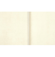 микровелюр нью йорк 02, INSTROY
