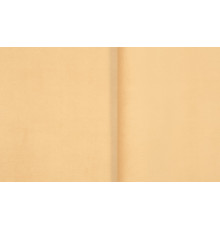 микровелюр нью йорк 06, INSTROY