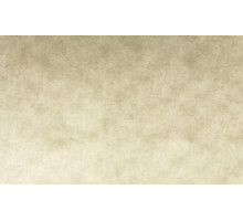 микровелюр пума 01, INSTROY