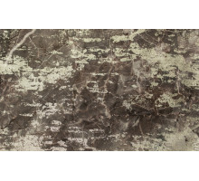 шенилл троя 05, INSTROY