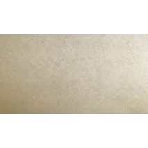 велюр cartier beige